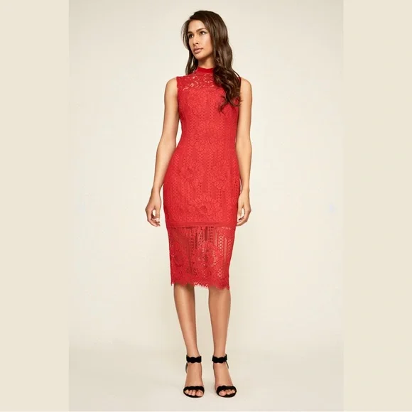 tadashi shoji lace midi dress Tadashi Shoji CHU25419MDX - Tea-Length A-line Dress